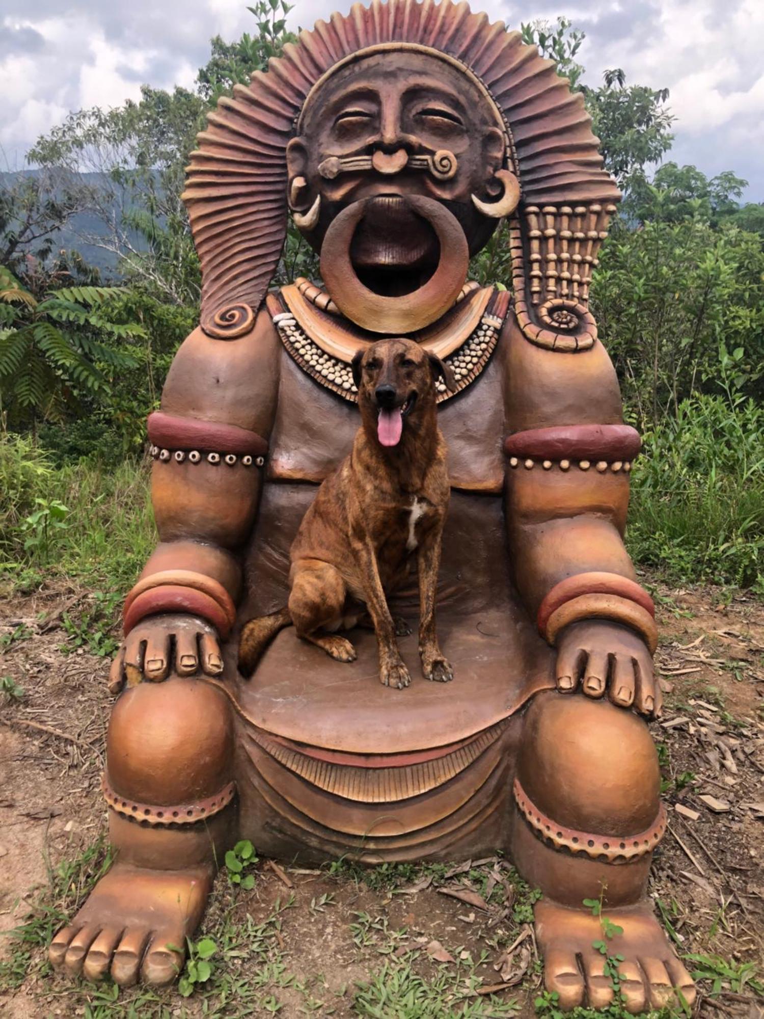 Ritmo Del Rio San Rafael (Antioquia)