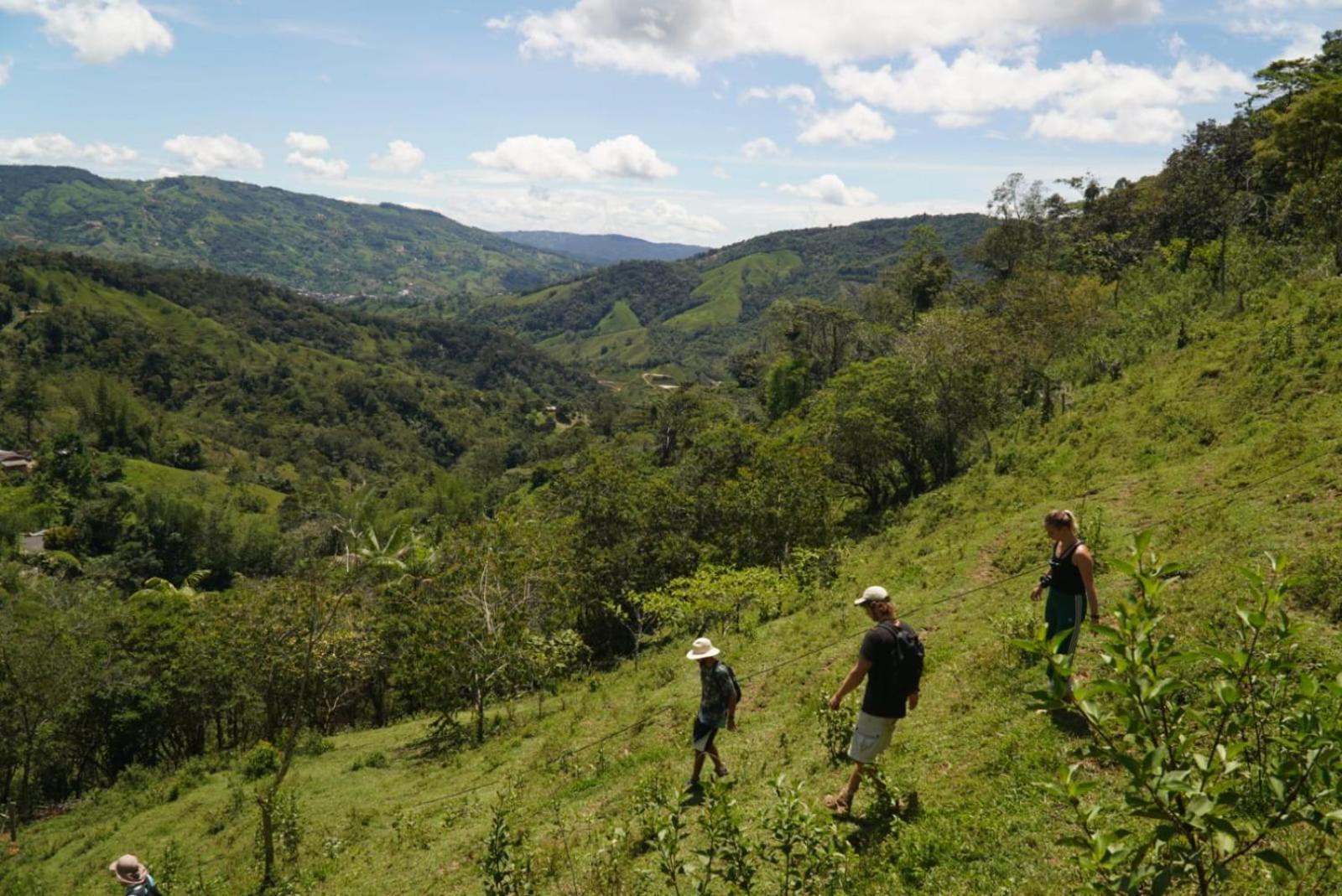 Ritmo Del Rio San Rafael (Antioquia)