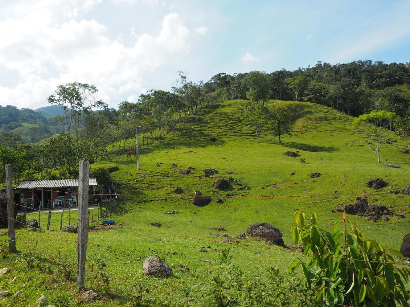 Ritmo Del Rio Lodge