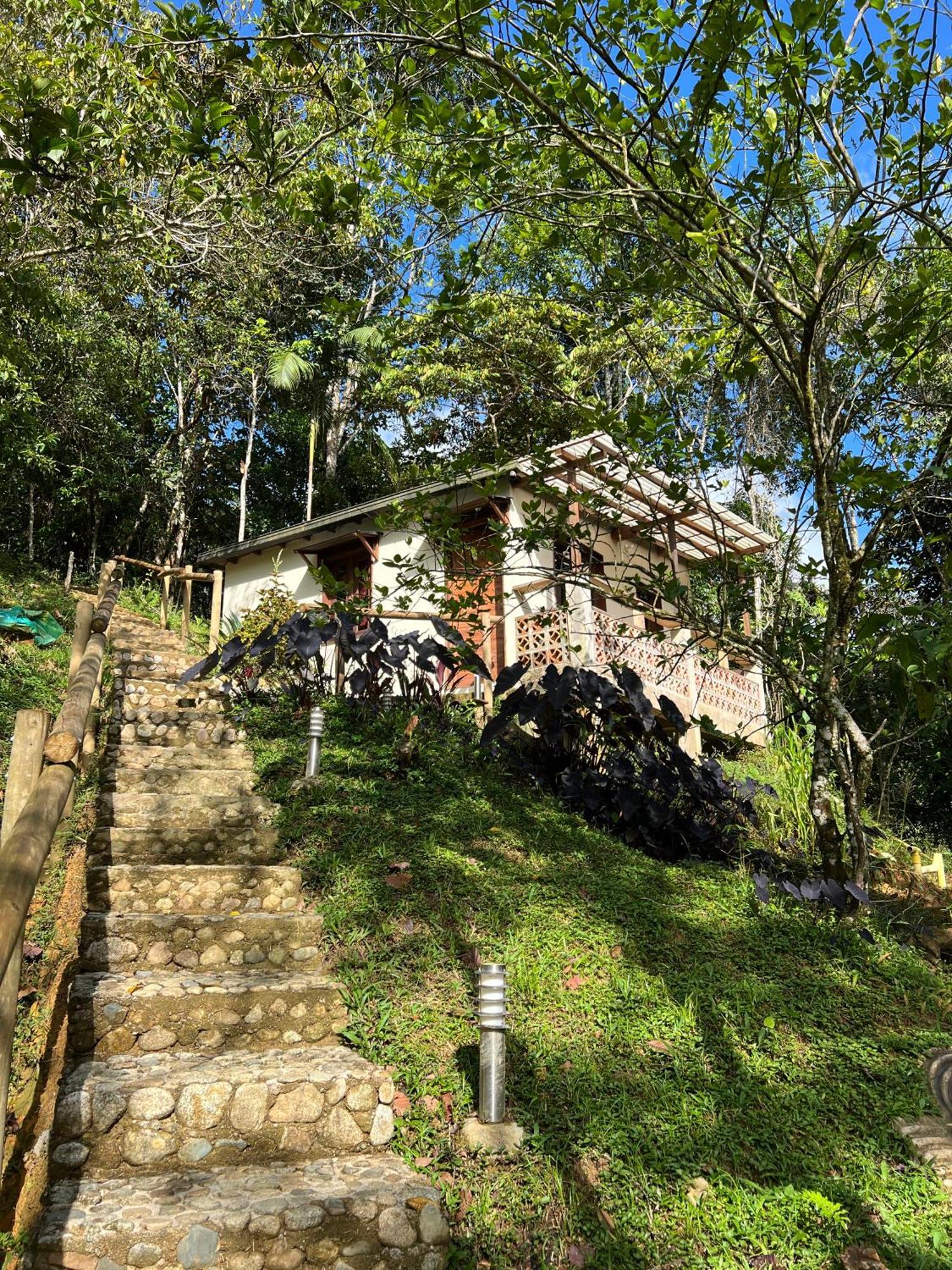 Ritmo Del Rio San Rafael (Antioquia)